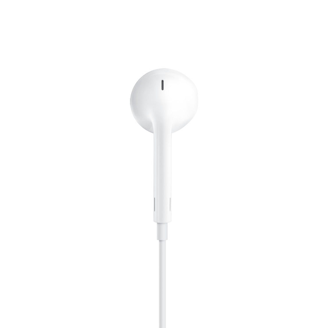 Apple USB-C earbuds
