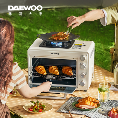 Multifunctional portable travel oven